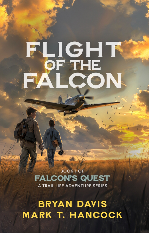 Falcon's Quest